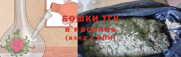 твердый Аркадак