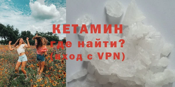 твердый Аркадак