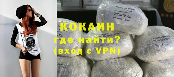 твердый Аркадак
